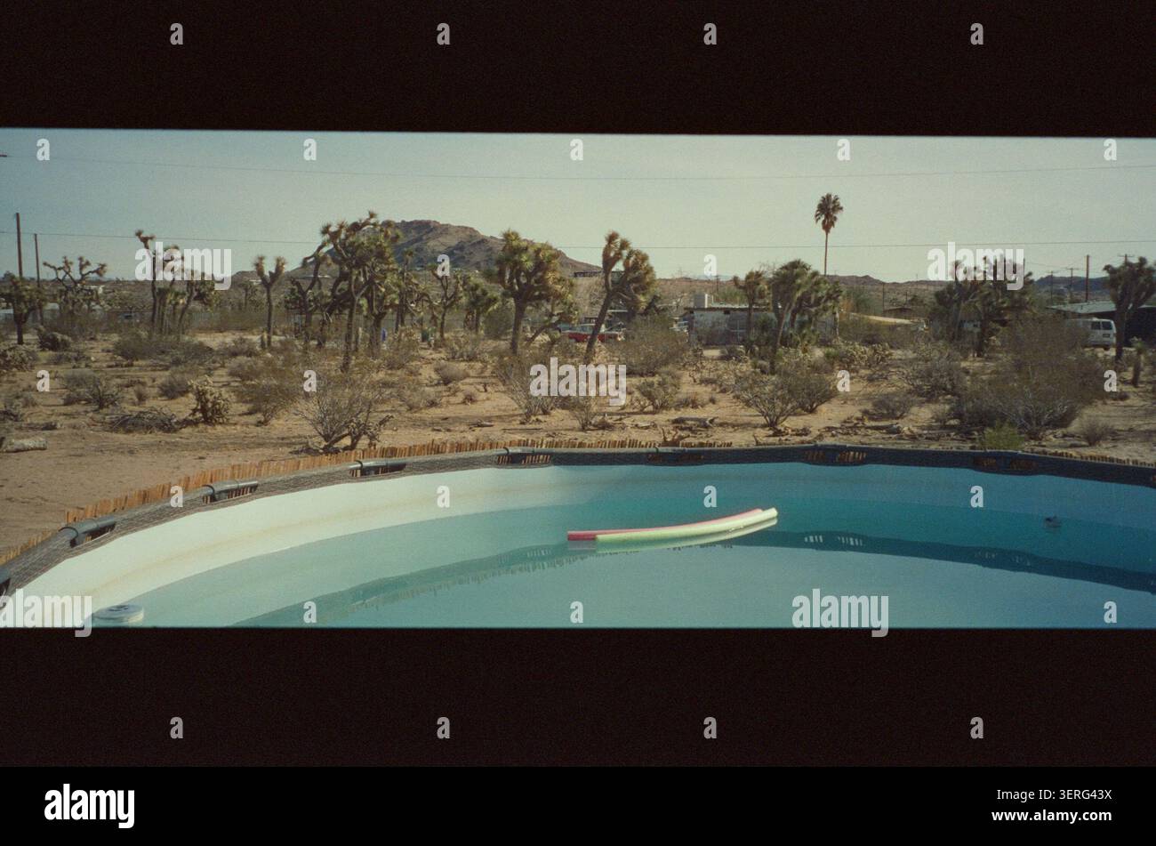 Una piscina solitaria con un noodle galleggiante si trova in un paesaggio desertico del Mojave punteggiato da alberi di Giosuè e colline rocciose. Fotografia cinematografica Foto Stock