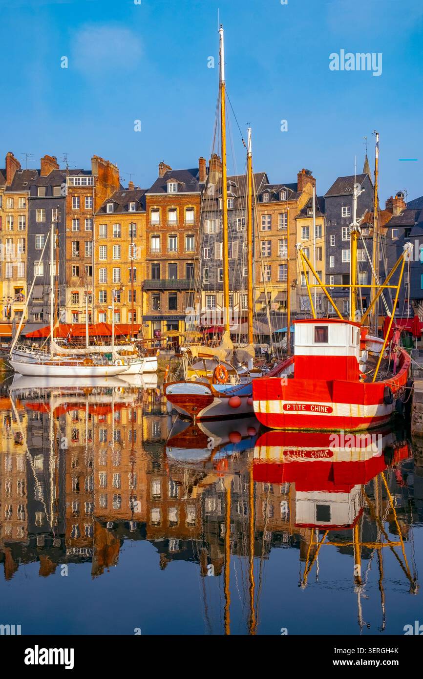 Honfleur port / porto nella calda luce del mattino, Honfleur, Calvados, Normandia, Francia, Europa Foto Stock