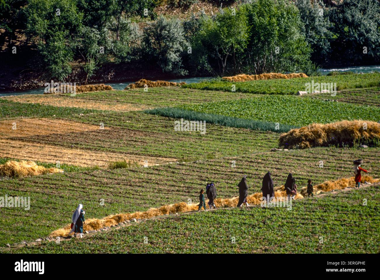 Le donne del villaggio vanno a lavorare nei loro piccoli campi nella valle di Panshir, Afghanistan, agosto 1992 Foto Stock