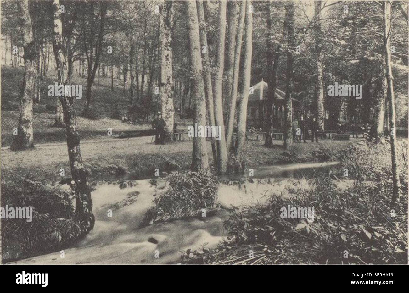 Promenade du Parapluie a Bains-les-Bains presenta una passeggiata a piedi nella città termale dei Vosgi, che fa parte di infrastrutture paesaggistiche per il tempo libero utilizzate dai visitatori del resort termale per passeggiate strutturate all'aperto e relax. Foto Stock