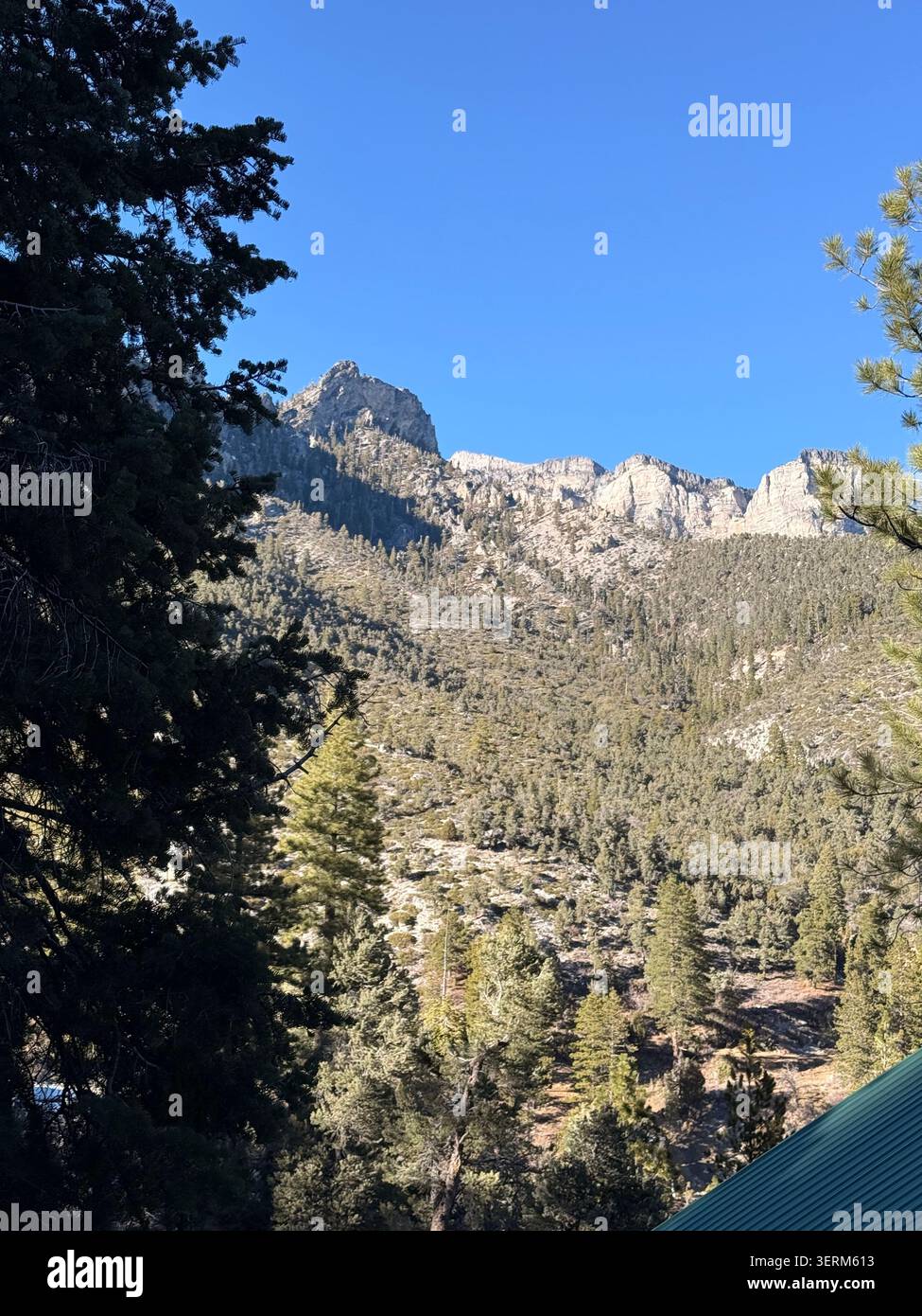 Foto delle Spring Mountains, note anche come Mount Charleston nelle contee di Clark e Nye nel Nevada meridionale negli Stati Uniti. Foto Stock