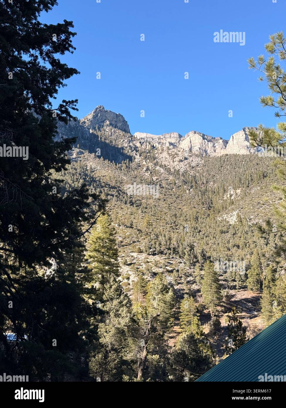Foto delle Spring Mountains, note anche come Mount Charleston nelle contee di Clark e Nye nel Nevada meridionale negli Stati Uniti. Foto Stock