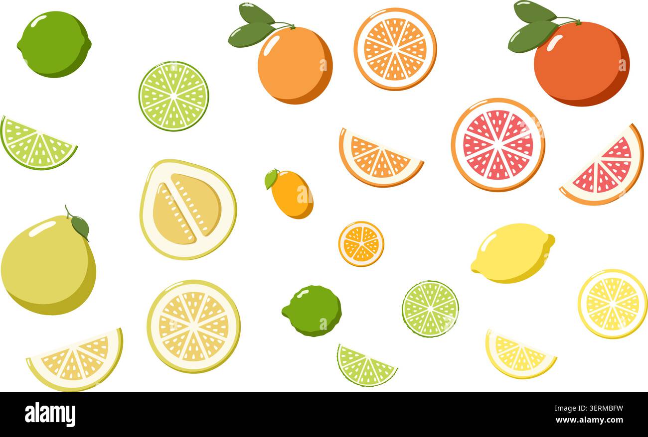 Variopinto assortimento di agrumi tra cui limes, limoni, arance, pompelmi, pomeli, e kumquat, mostrati interi e tagliati a fette, vivaci e freschi Illustrazione Vettoriale