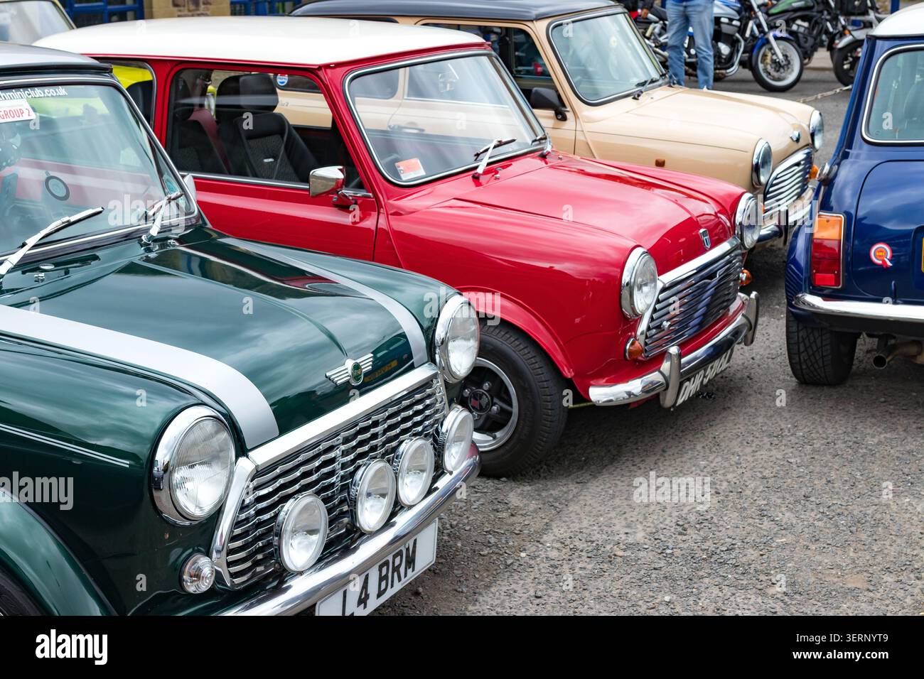 Mini auto Classic rover e austin parcheggiate in una mostra all'aperto nel Regno Unito Foto Stock