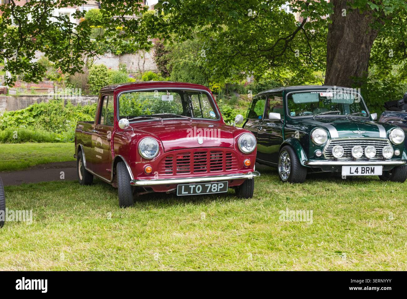 Mini pick-up Red Austin e Rover Mini verde parcheggiati su un prato in occasione di una mostra di auto d'epoca in Inghilterra Foto Stock