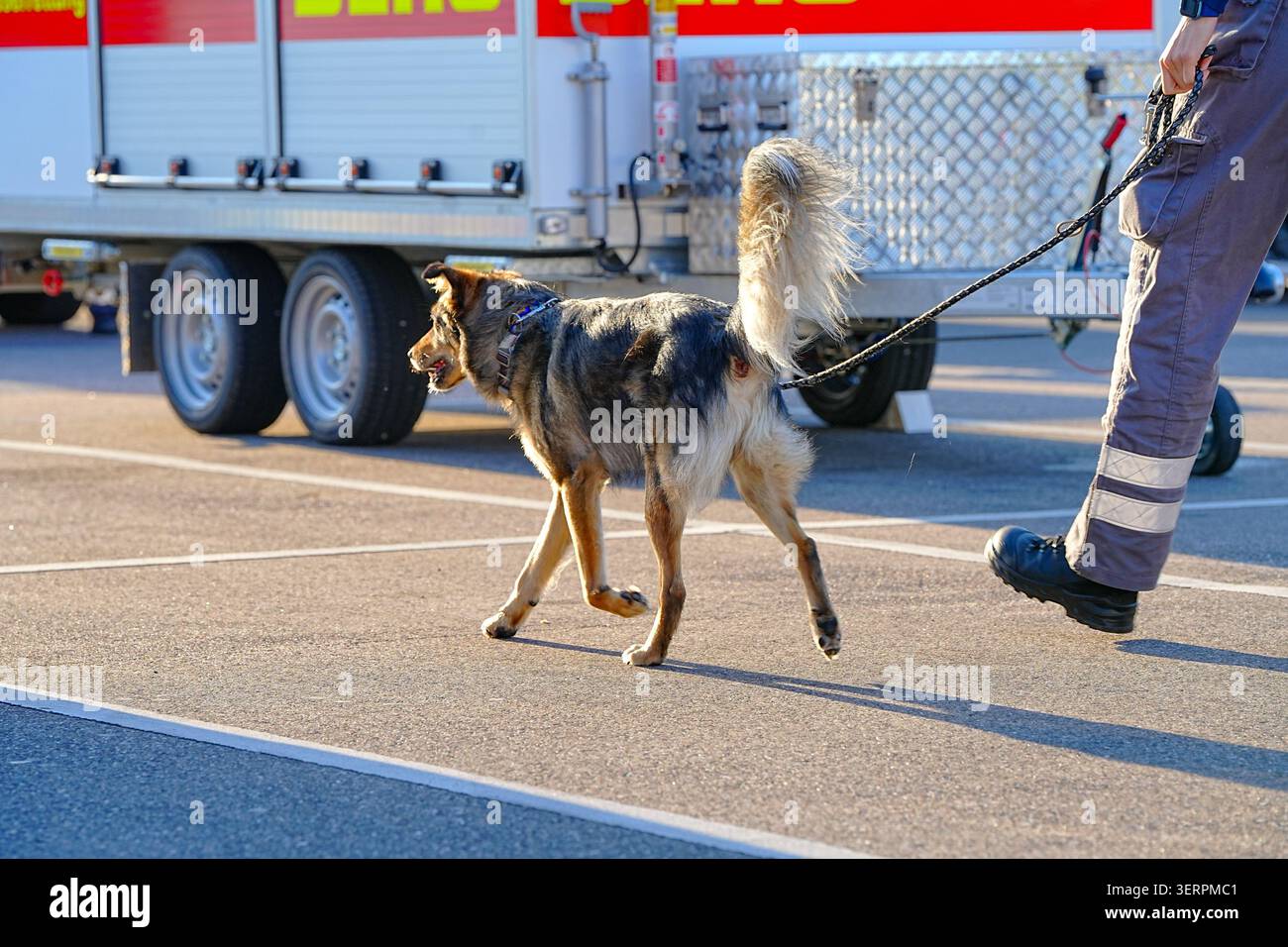 Renningen, Germania. 19 giugno 2026. Cani di ricerca e numerosi soccorritori di emergenza sono alla ricerca di un bambino scomparso. La polizia ha rifiutato di rivelare dove si crede che il bambino sia scomparso. Inizialmente non sono state fornite informazioni sulle circostanze della scomparsa. Credito: Enrique Kaczor/onw-images/dpa/Alamy Live News Foto Stock