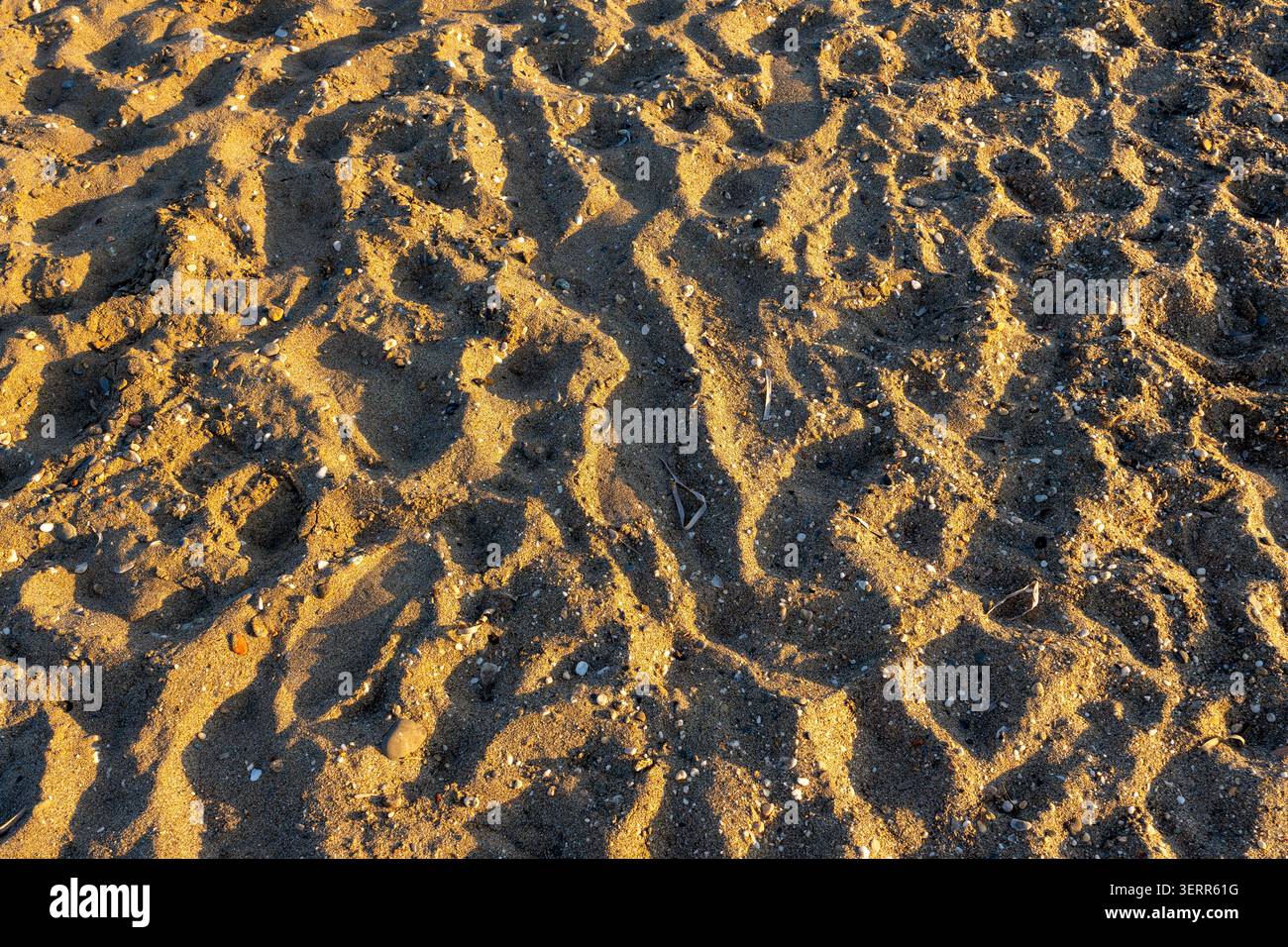 Uno scatto ravvicinato che si concentra sulla consistenza ruvida di una spiaggia sabbiosa al tramonto. La luce del sole dorata crea ombre profonde e accentua le increspature Foto Stock