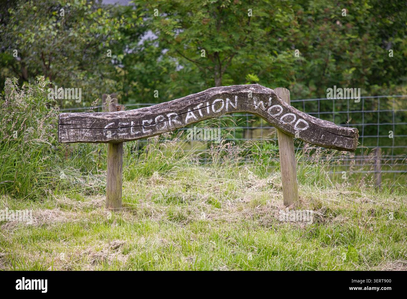 Cartello rustico in legno con la scritta "Celebration Wood", ricavato da un tronco naturale nel bacino idrico di Dovestone, Peak District National Park, Regno Unito. Foto Stock