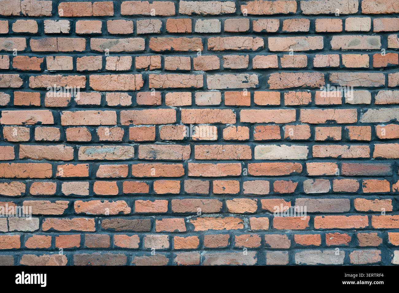 Motivo in mattoni di terracotta vintage, sfondo grunge per il design. Vista dettagliata di una vecchia superficie muraria in mattoni robusti, interni di un loft. Foto Stock
