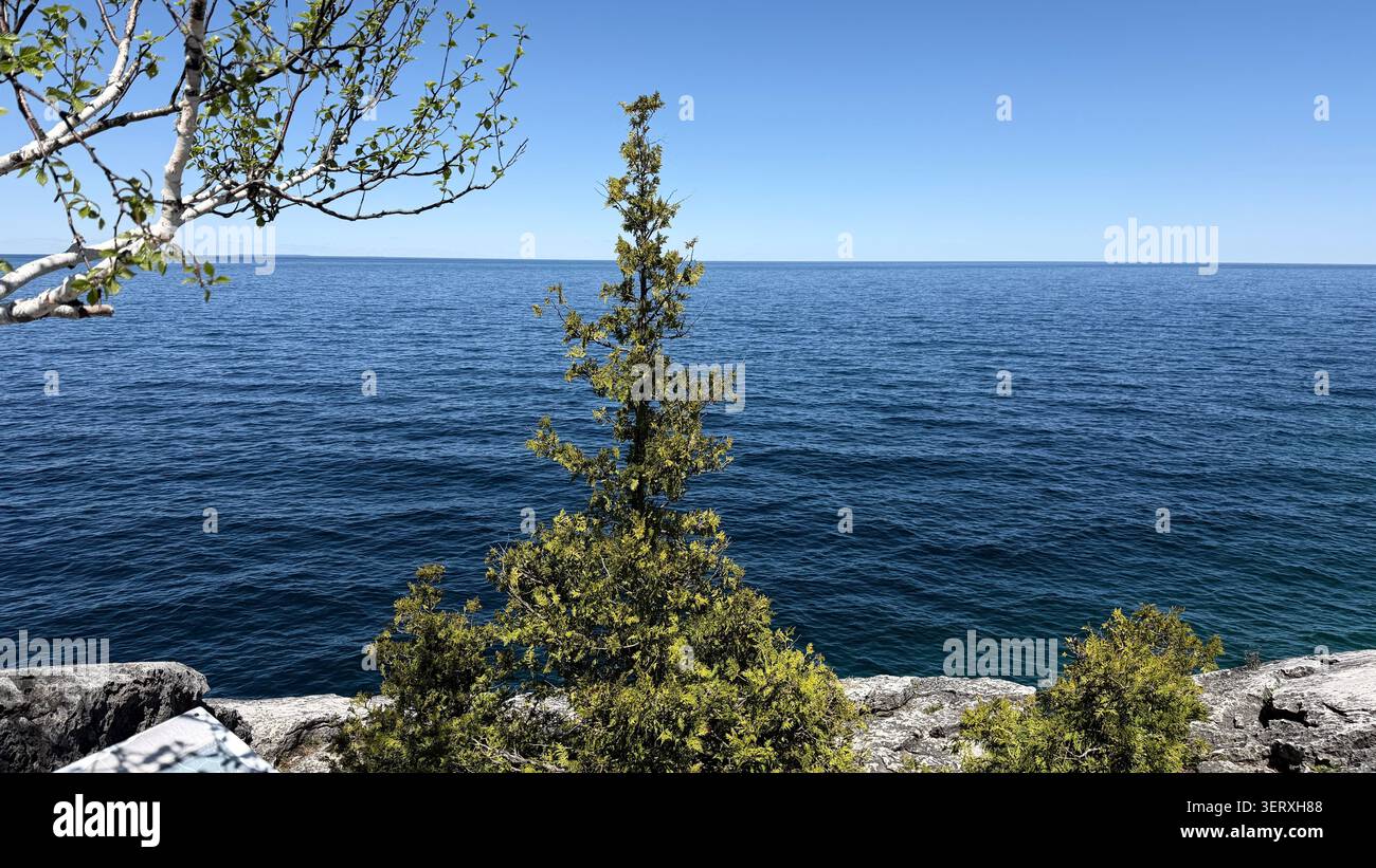 Panoramico albero sempreverde su una scogliera rocciosa che si affaccia sulle profonde acque blu del lago Huron nella penisola di Bruce, Ontario, Canada. Foto Stock