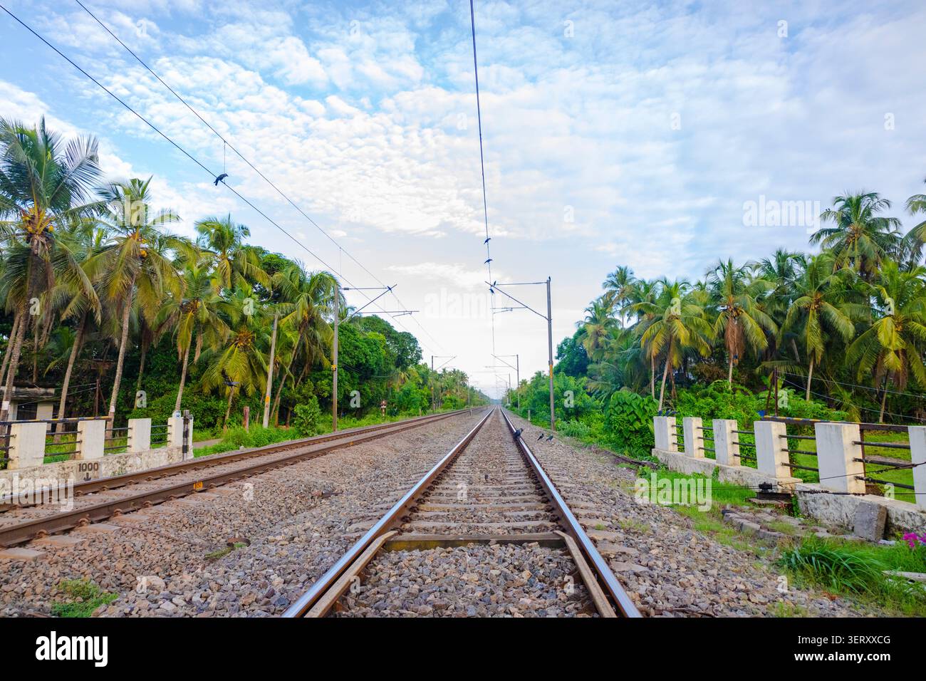 Binari ferroviari scenografici che si estendono attraverso un paesaggio tropicale lussureggiante fiancheggiati da palme da cocco sotto un drammatico cielo blu, ideali per i blog di viaggio. Foto Stock