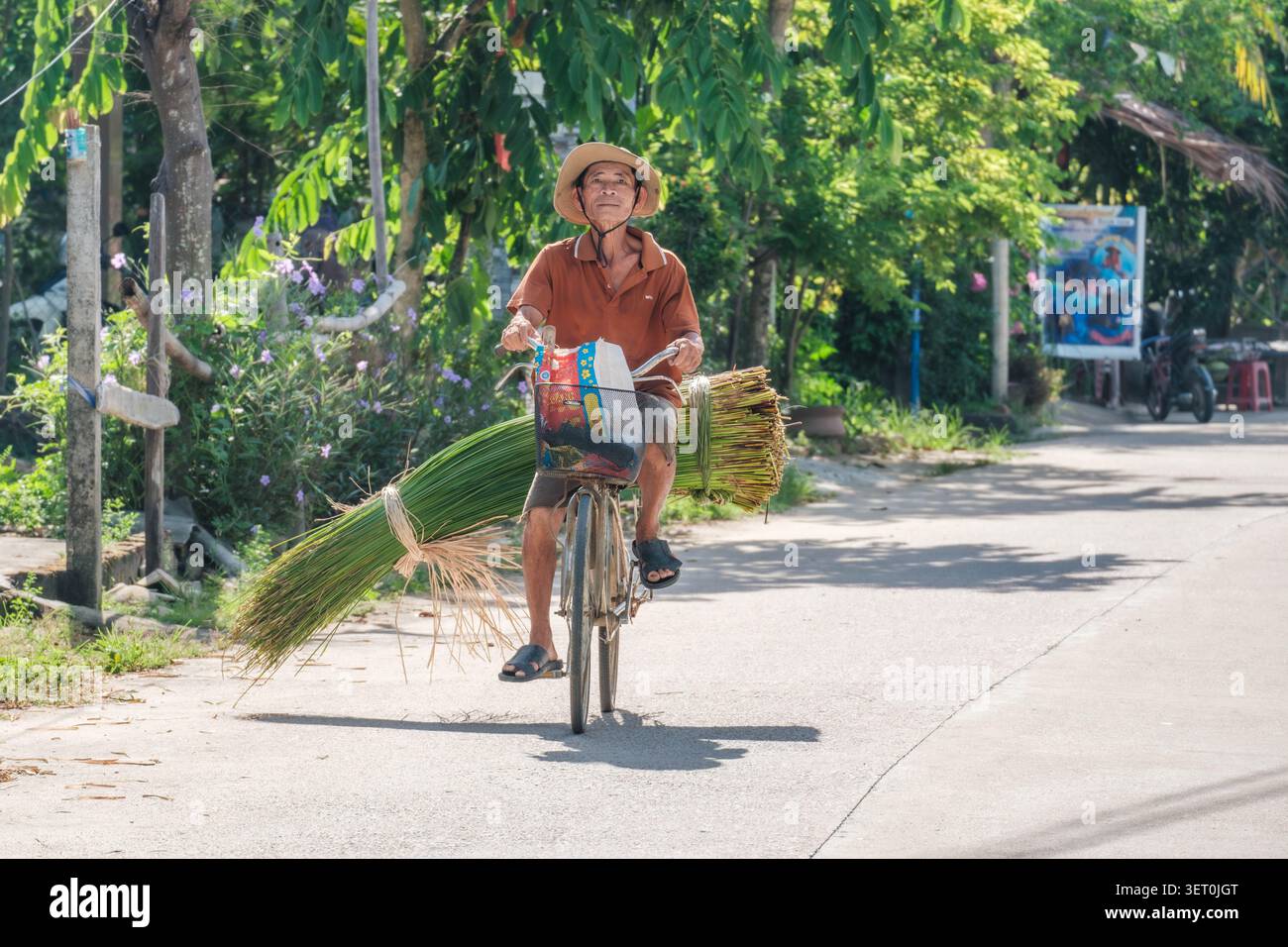 Uomo vietnamita in bicicletta carico di erba verde su una strada rurale Foto Stock