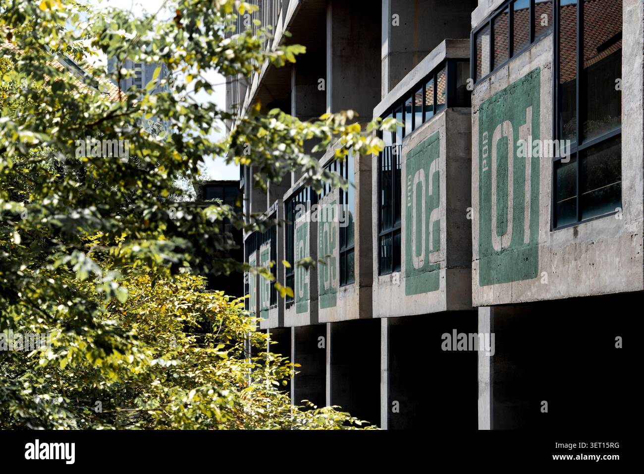 Edificio brutalista in cemento con distintivi BALCONI verdi 01, 02 e 03, caratterizzato da finestre con cornice scura e accostati a lussureggianti primi piani Foto Stock
