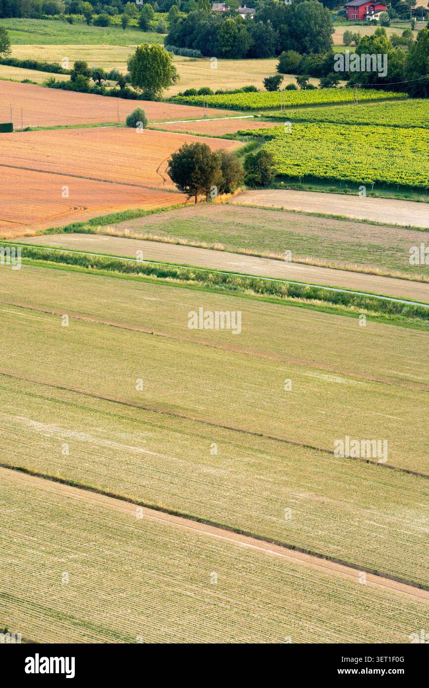 vista aerea dei campi agricoli coltivati con ruscelli e alberi solitari in estate Foto Stock