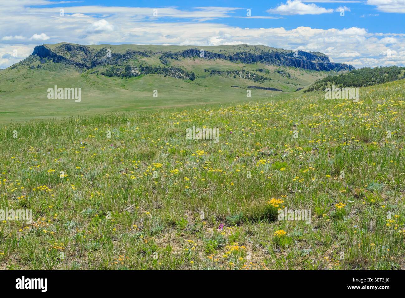 crown butte e la riserva naturale che si innalza sopra la prateria vicino a simms, montana Foto Stock