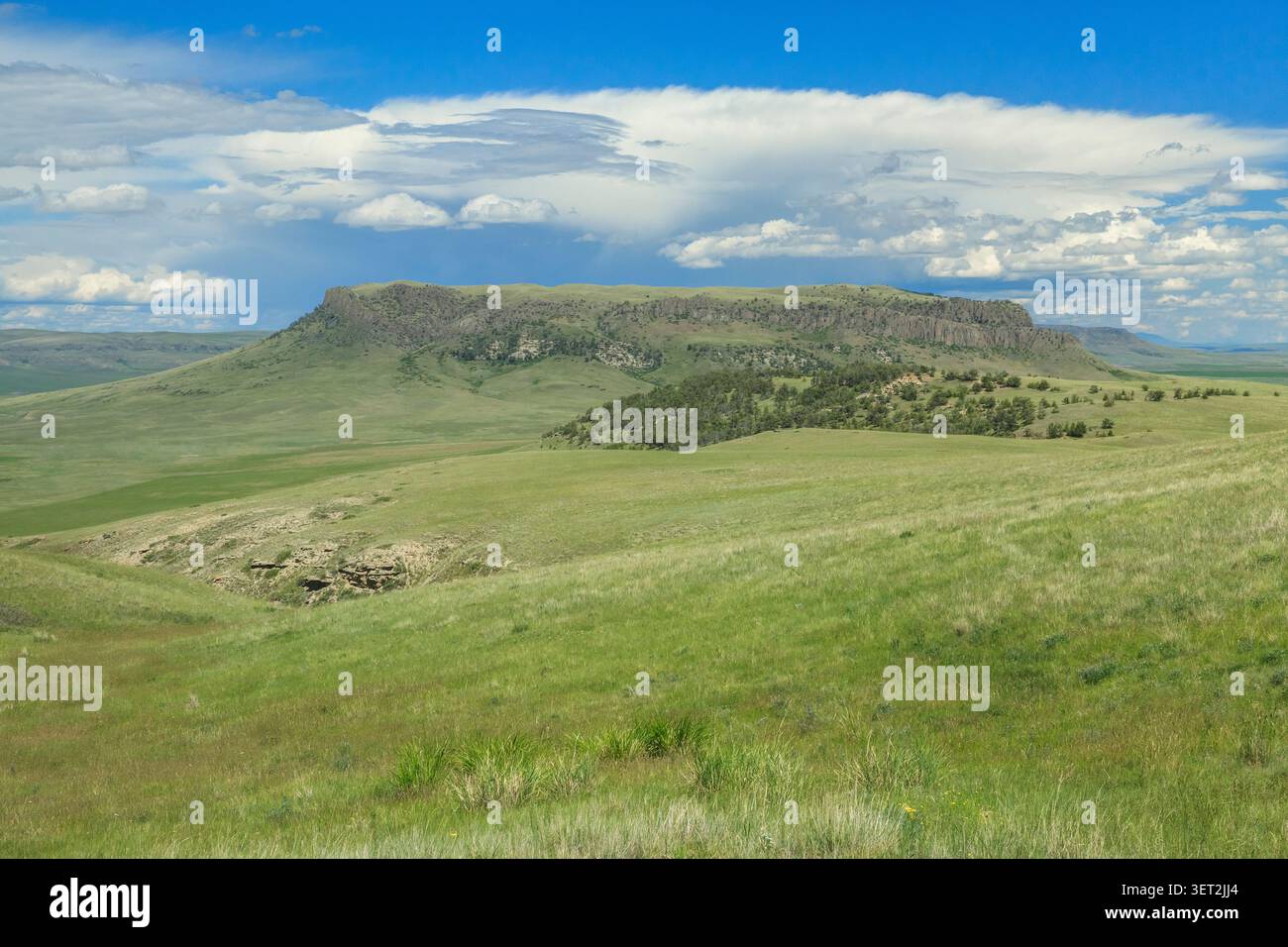 crown butte e la riserva naturale che si innalza sopra la prateria vicino a simms, montana Foto Stock