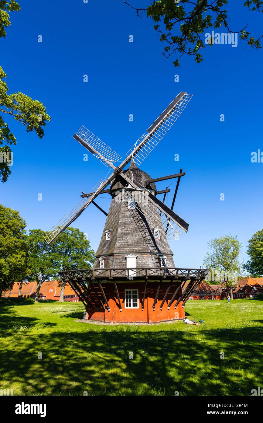 Mulino a vento del XIX secolo (Kastelsmøllen) a Kastellet (Cittadella), Copenaghen, Danimarca Foto Stock