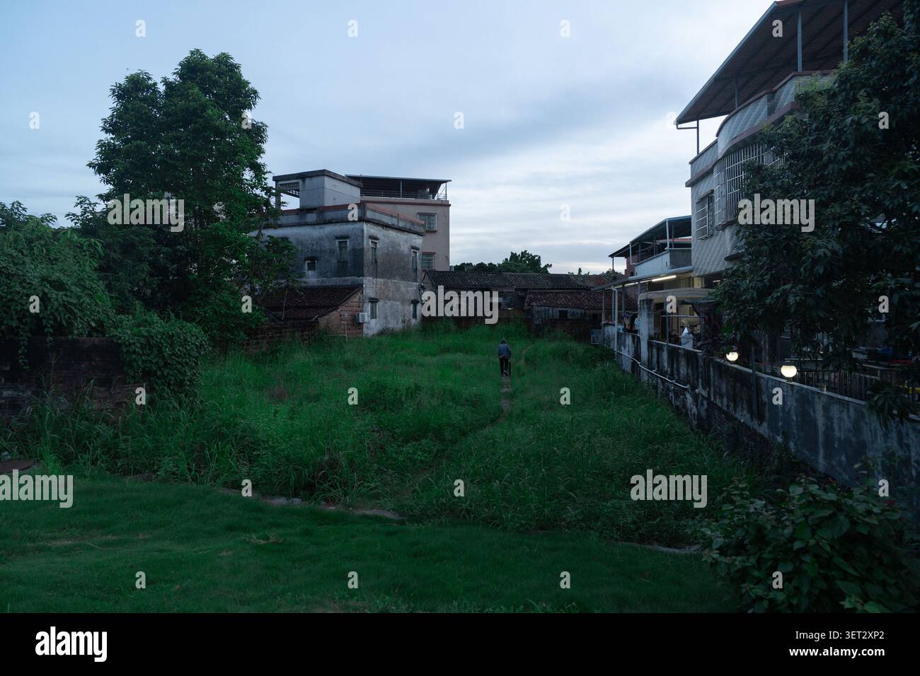 Zona residenziale rurale a Guwahati, Assam, India: Terreno erboso sovrastato tra case intemprate Foto Stock