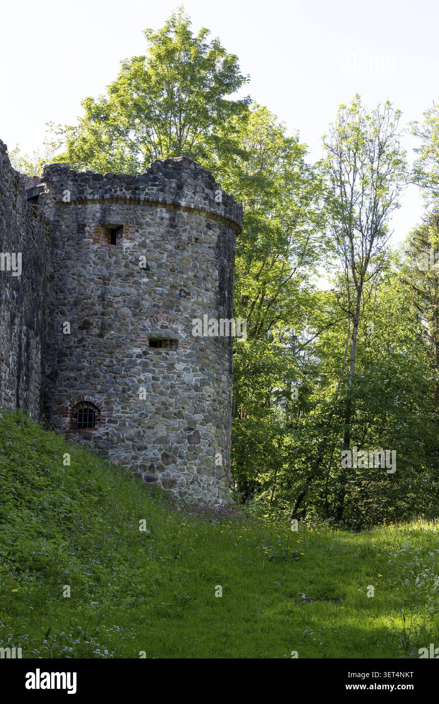 Torre, rovine del castello di Ratzenried, comune di Argenbuehl, Wuerttembergischer Allgaeu, Baden-Wuerttemberg, Germania Foto Stock