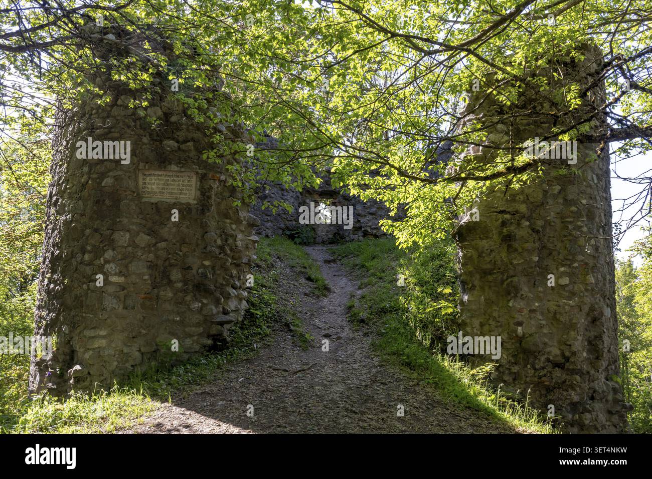 Rovine del castello di Ratzenried, comune di Argenbuehl, Wuerttembergischer Allgaeu, Baden-Wuerttemberg, Germania Foto Stock