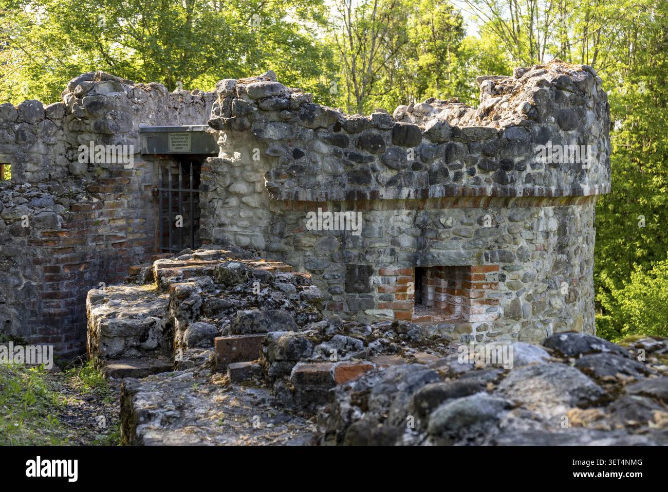 Torre, rovine del castello di Ratzenried, comune di Argenbuehl, Wuerttembergischer Allgaeu, Baden-Wuerttemberg, Germania Foto Stock