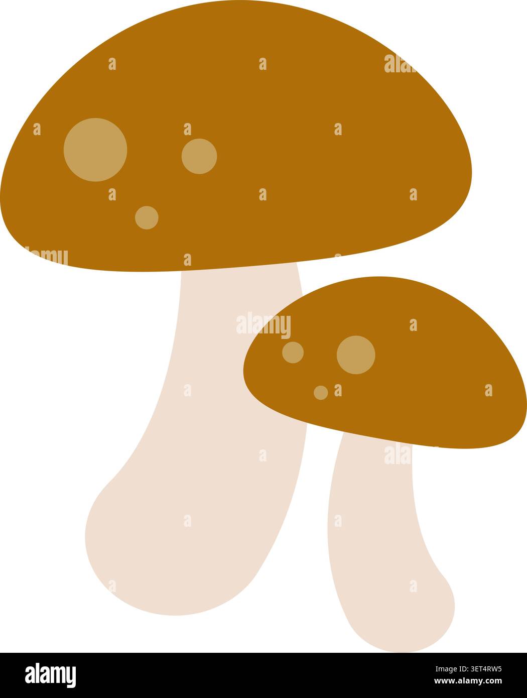 Illustrazione dei funghi marroni Illustrazione Vettoriale