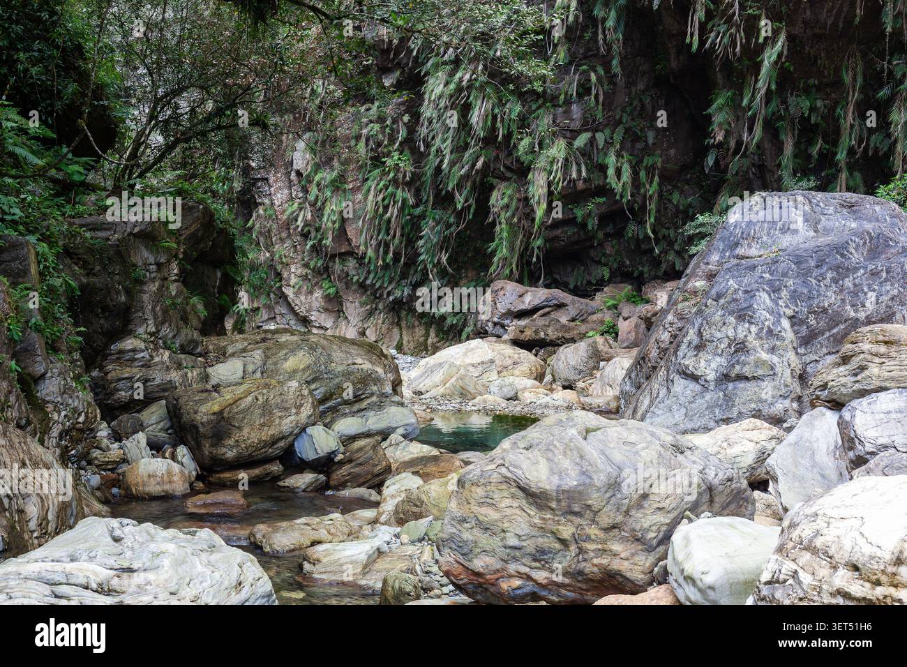 Torrente del fiume Sanzhanxi nel Taroko Gorge National Park, Taiwan. Grandi massi e rocce vicino al torrente. Lussureggiante foresta verde e scogliere di montagna. Foto Stock