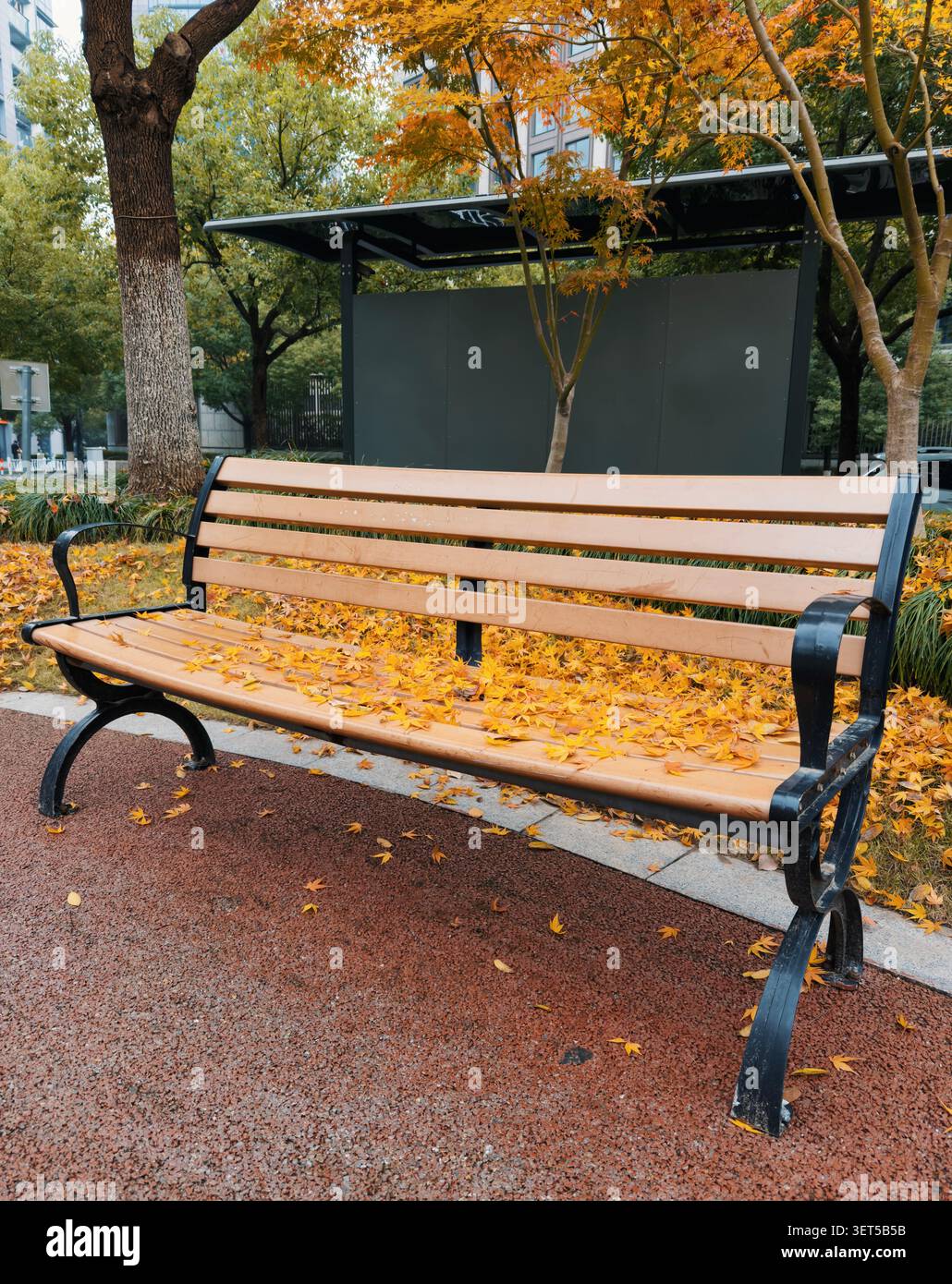 Le vivaci foglie autunnali coprono una panchina del parco in un ambiente urbano tranquillo durante le ore di metà mattina Foto Stock