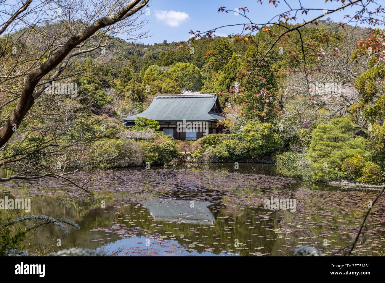 Edificio tradizionale del tempio accanto a uno stagno paesaggistico nei giardini del Tempio Ninnaji a Kyoto, Giappone. Foto Stock