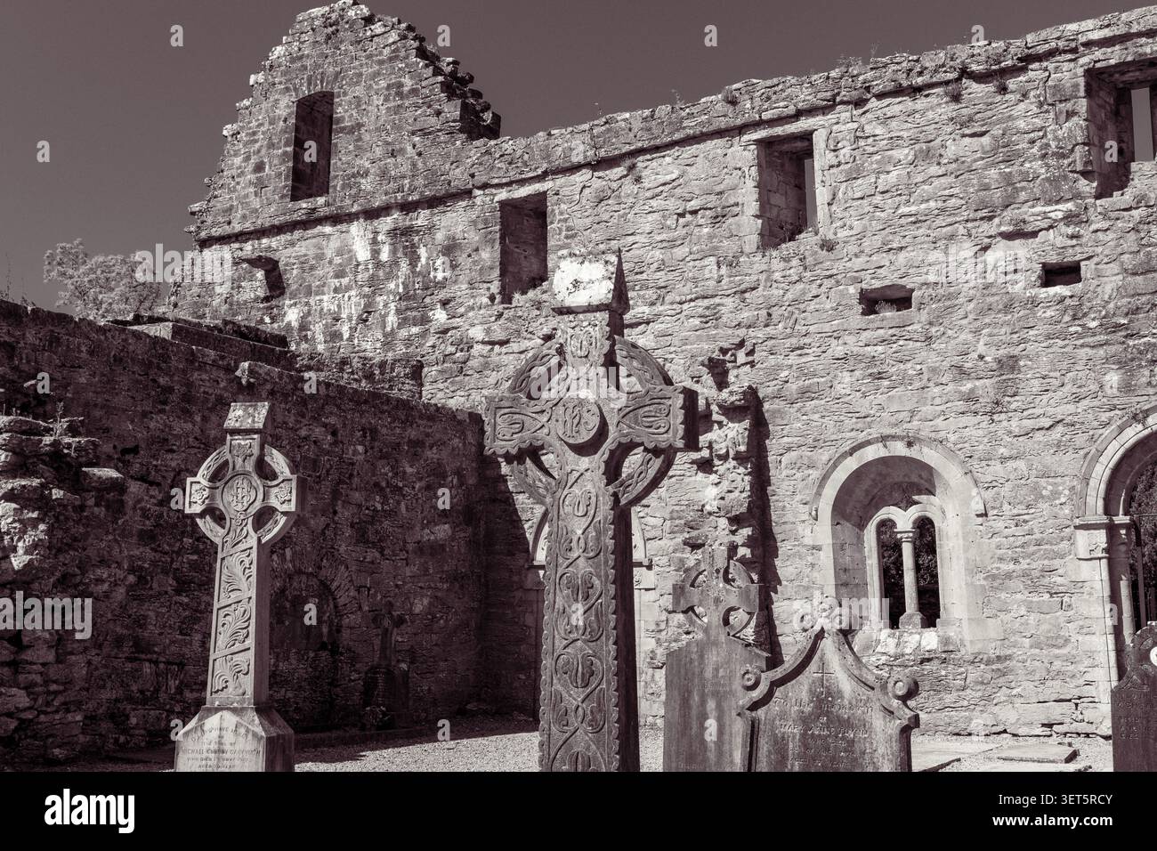 Epica fotografia in bianco e nero delle storiche alte croci celtiche nel cimitero dell'abbazia medievale di Cong nella contea di Mayo, in Irlanda Foto Stock