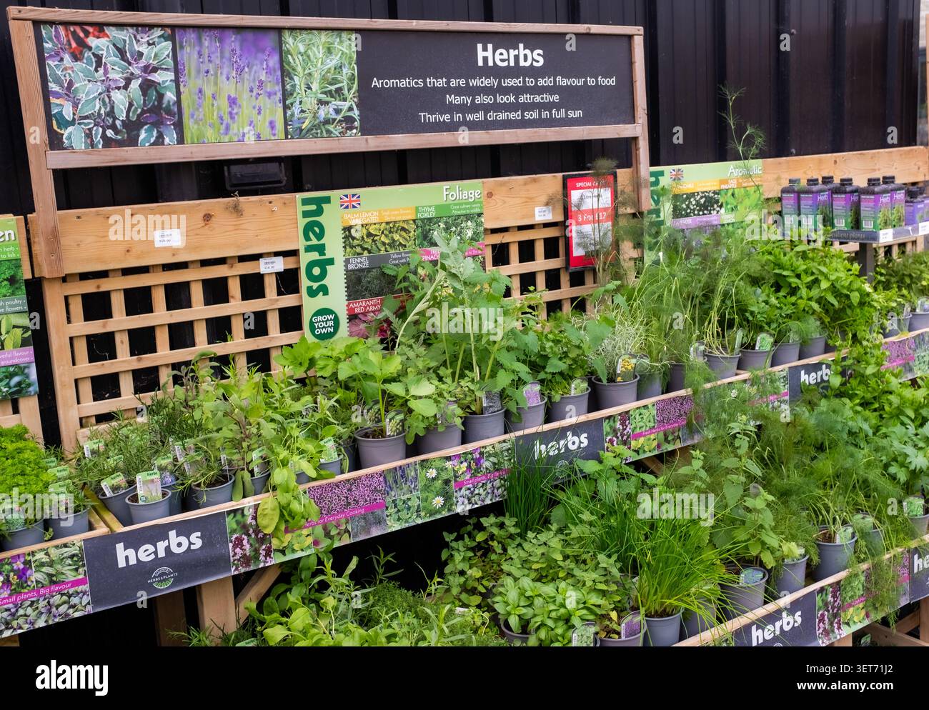 Erbe in vendita allo Stansted Park Garden Centre, Rowlands Castle, Regno Unito. Foto Stock