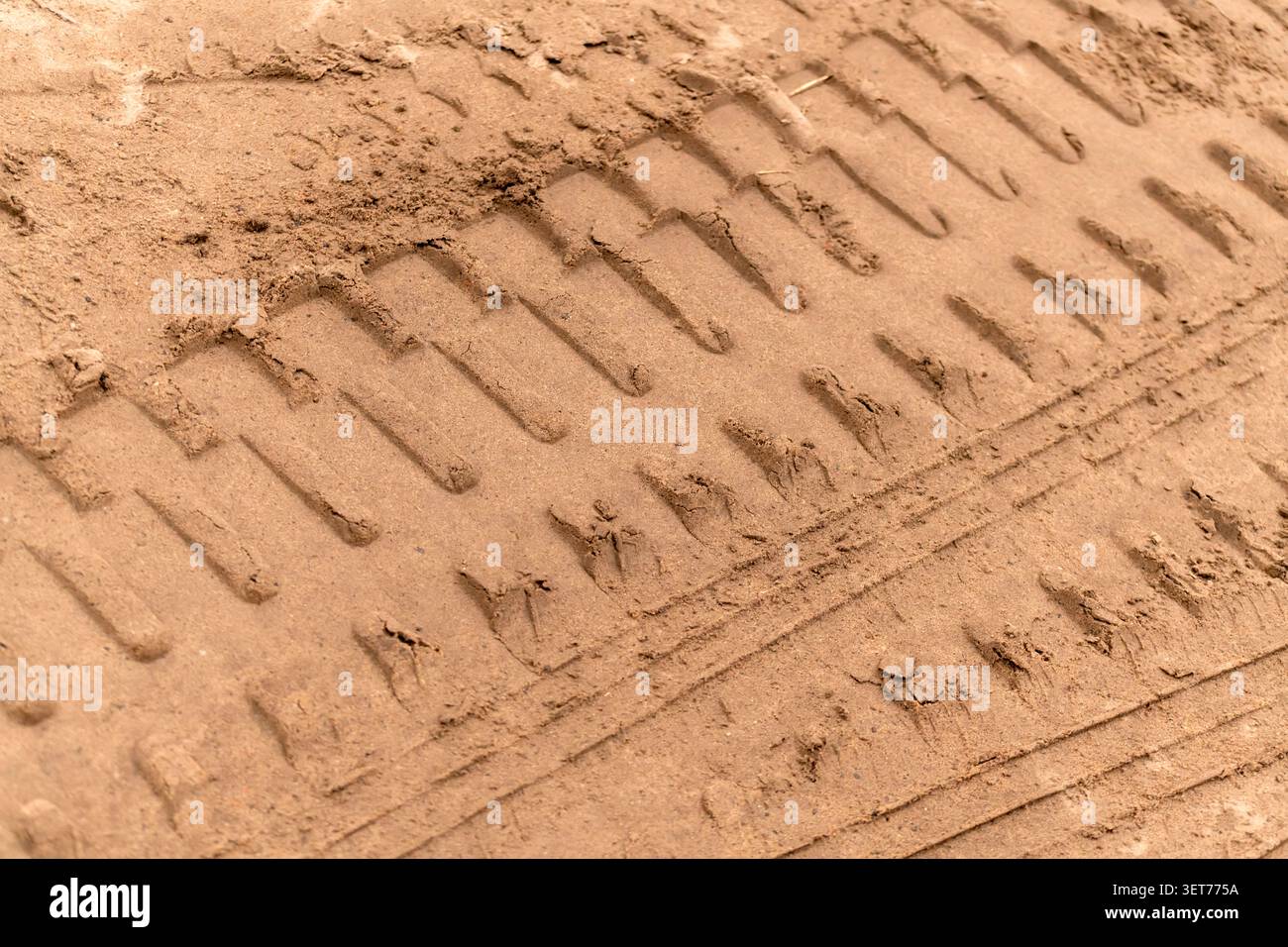 Questi segni profondi del battistrada sulla sabbia indicano un traffico intenso di veicoli Foto Stock
