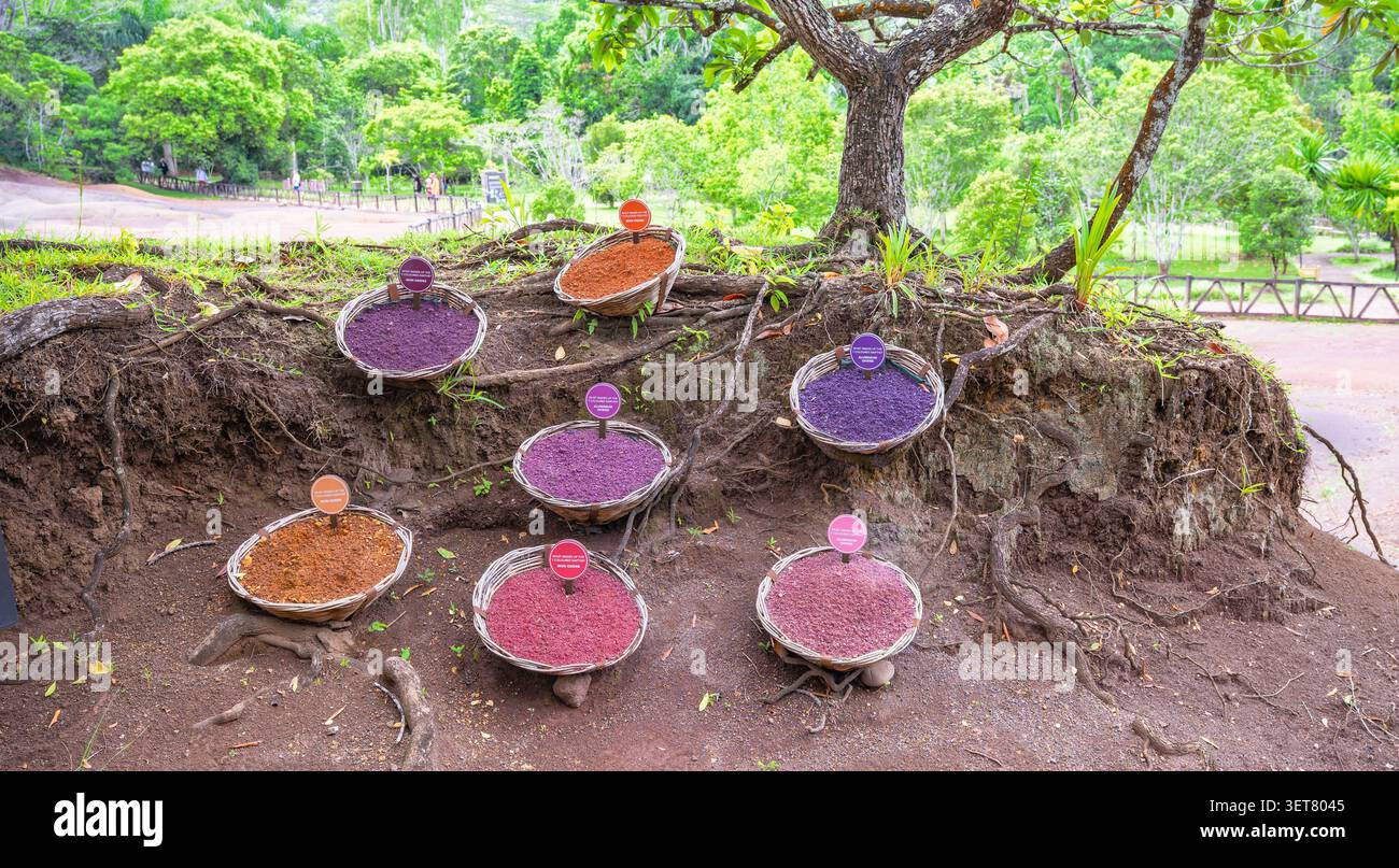 Sette campioni di formazione geologica della Terra colorati a Chamarel, Mauritius Foto Stock