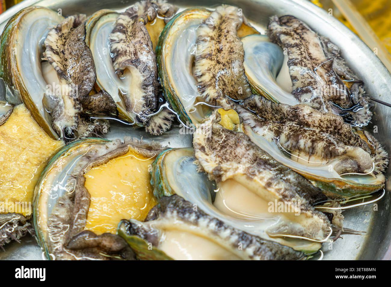 Molluschi di abalone freschi esposti al mercato del pesce di Busan, Corea del Sud. Delicatezza marina di prima qualità ampiamente usata nella cucina coreana e nel pesce asiatico Foto Stock