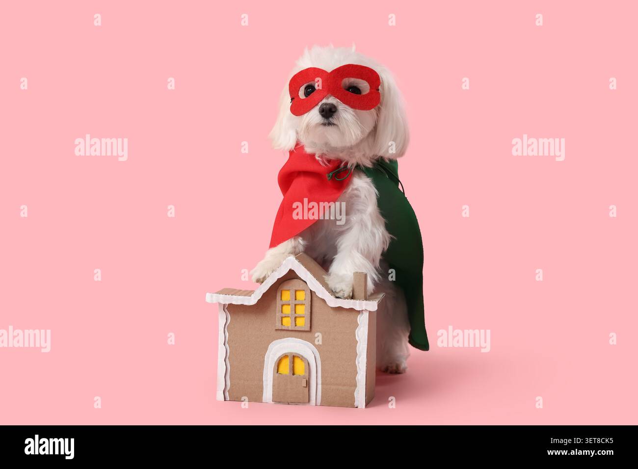 Simpatico cagnolino in costume da supereroe con casa dei giocattoli su sfondo rosa Foto Stock