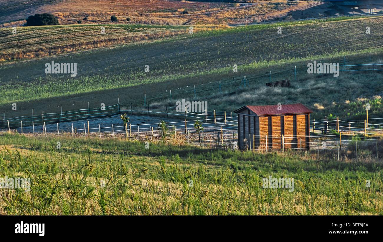 Paddock recintato con un piccolo riparo in legno in terreni agricoli ondulati vicino ad Arroyomolinos, Madrid, Spagna. Foto Stock