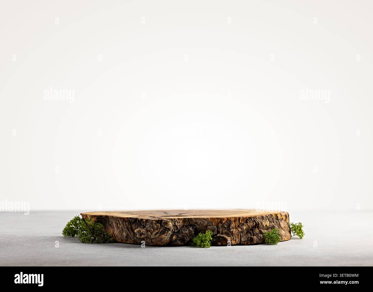 Podio a fette di legno naturale basso con muschio verde piccolo su sfondo bianco e ampio spazio di copia per l'esposizione dei prodotti Foto Stock