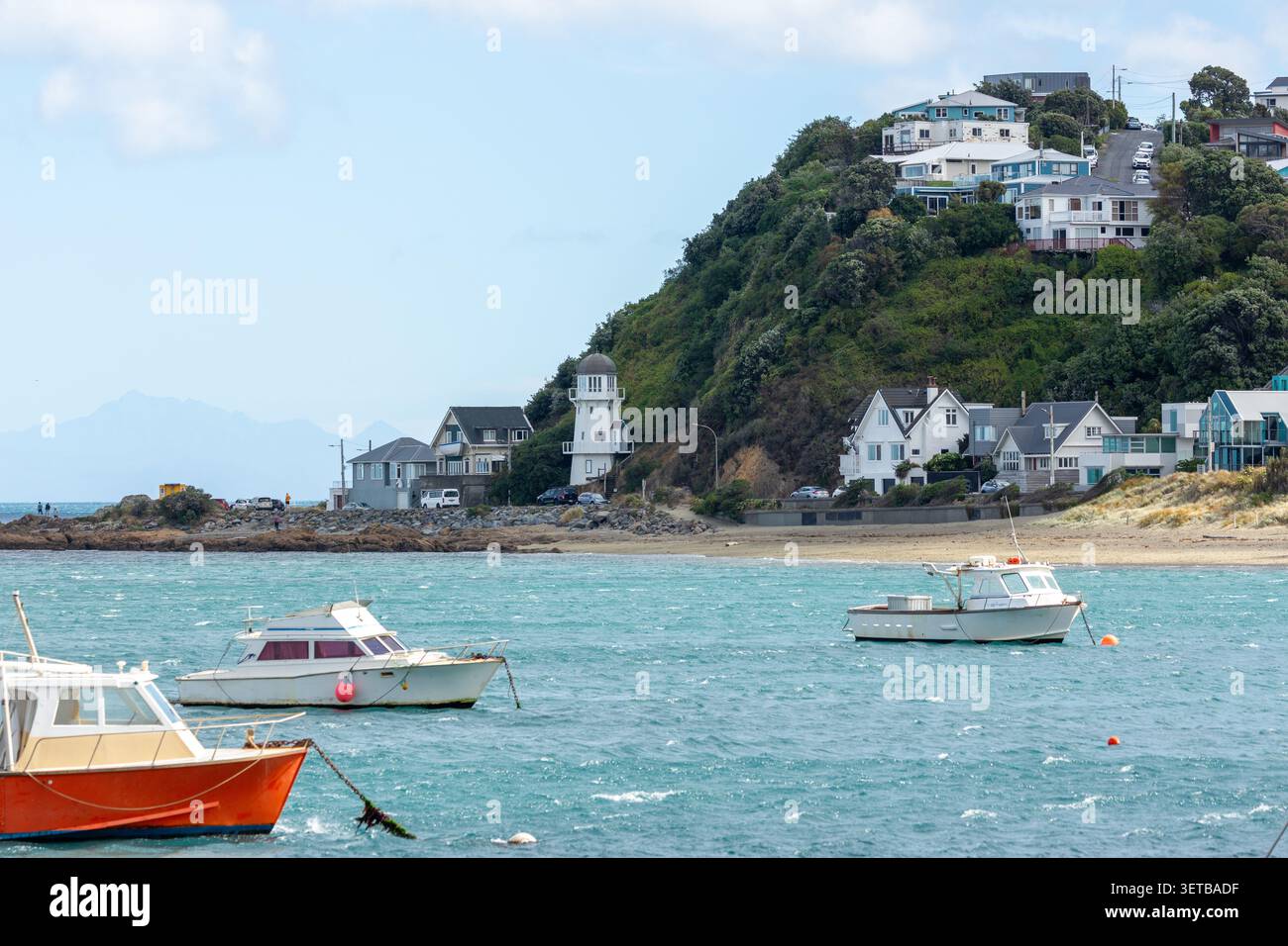 Island Bay, Wellington, Isola del Nord, Nuova Zelanda Foto Stock