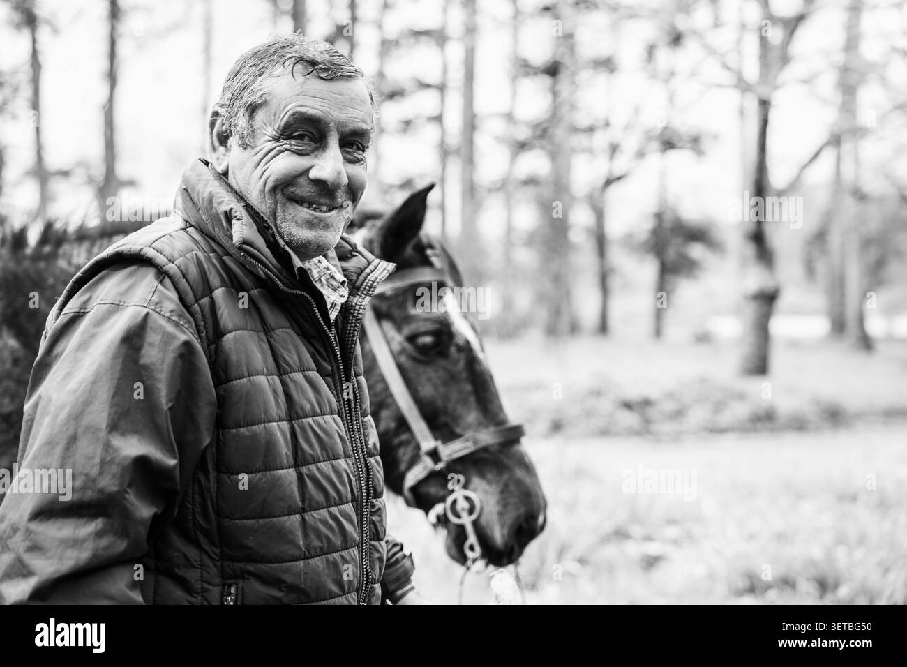 Uomo più anziano sorridente con il cavallo in natura Foto Stock