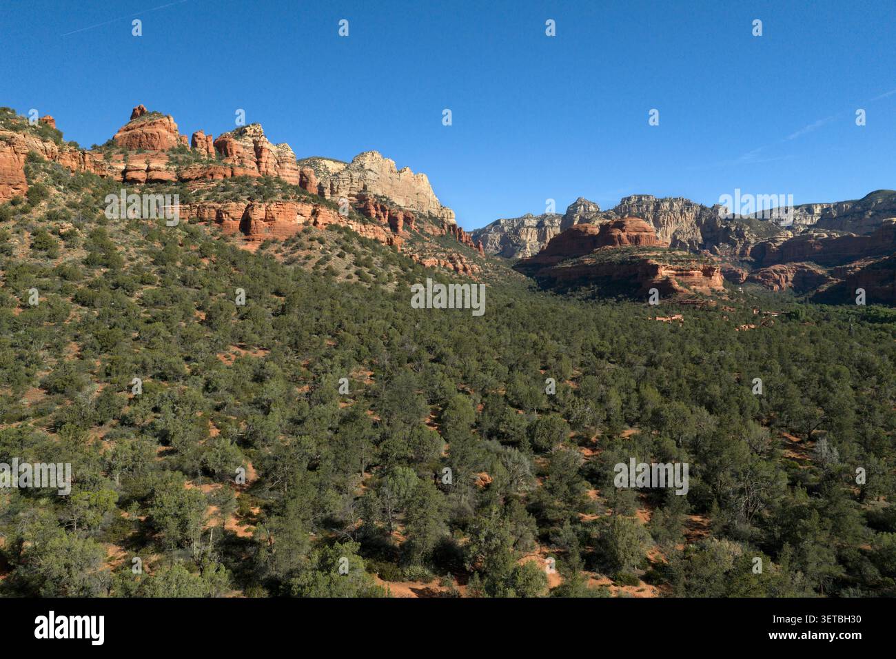 Le rocce rosse di Sedona si innalzano sopra una foresta verde Foto Stock