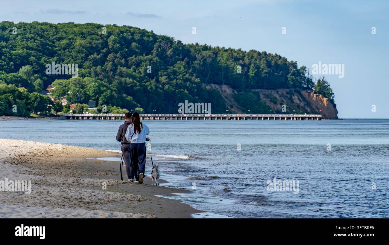 Coppia di cani a piedi lungo la spiaggia del Mar Baltico verso il molo il giorno della domenica Foto Stock