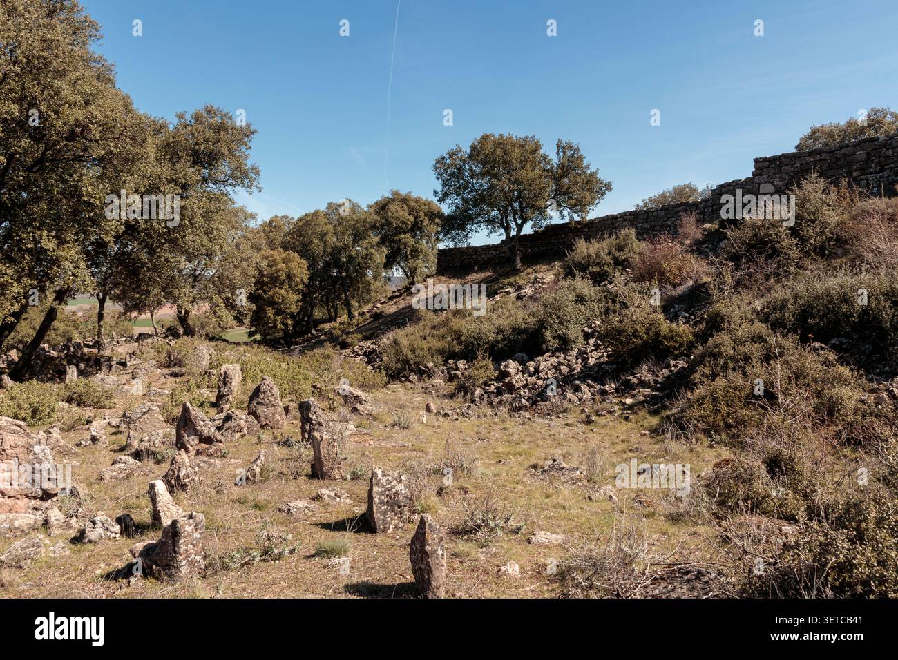 Antichi resti di pietra di un forte celtico con alberi sotto un cielo blu Foto Stock