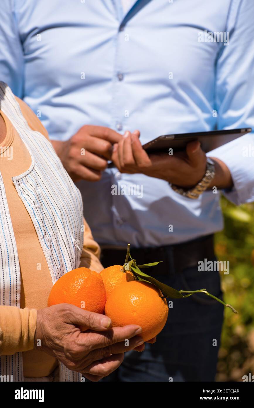 Due professionisti del settore agricolo collaborano utilizzando un tablet digitale per l'ispezione del controllo di qualità degli agrumi, tenendo con sé arance biologiche fresche Foto Stock