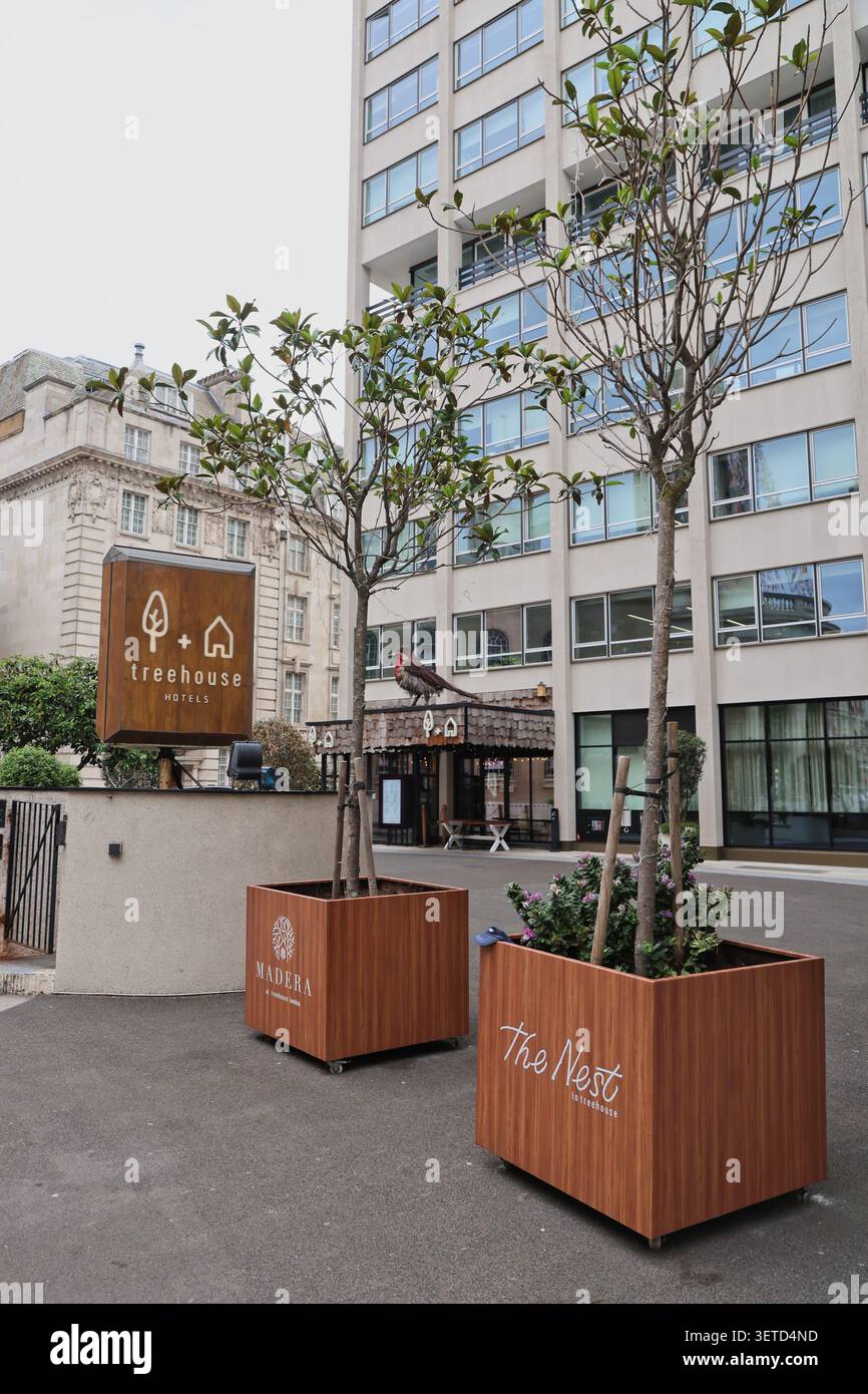 Treehouse Hotel Londra Langham Place Londra giugno 2026 Foto Stock