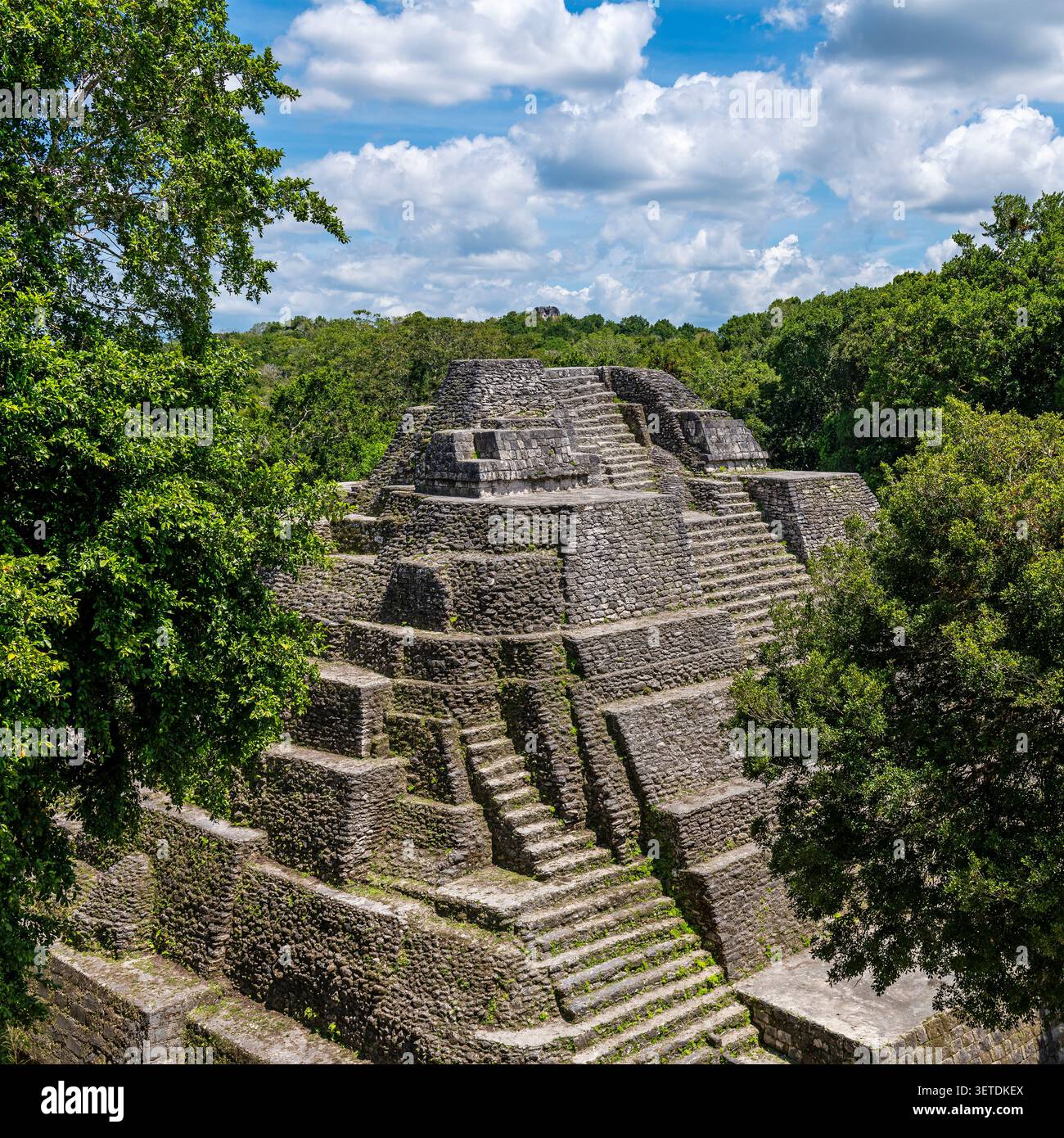 Piramide del tempio occidentale di Yaxha nascosta nella foresta pluviale di Peten, Guatemala. Foto Stock
