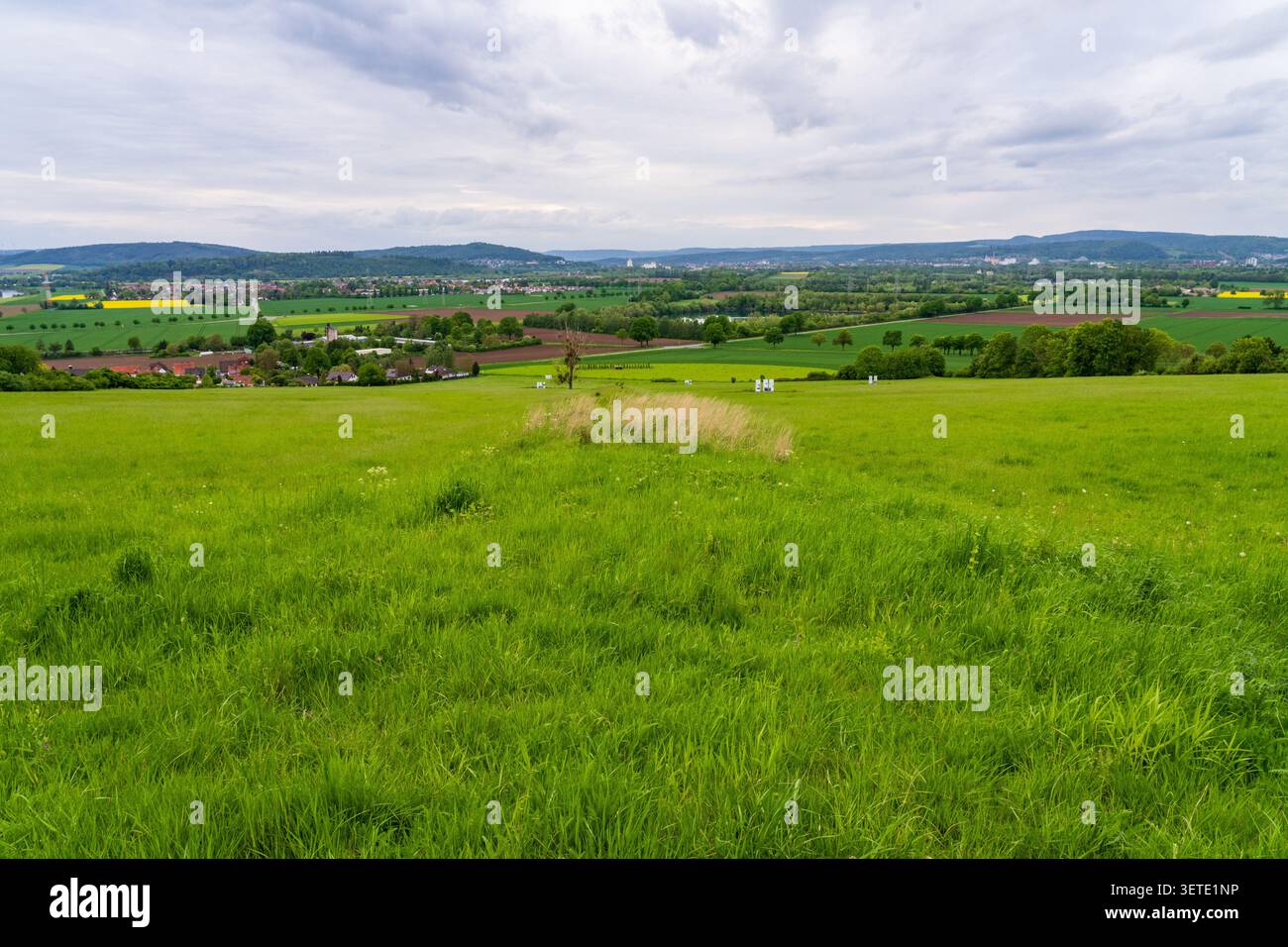 Luogo commemorativo a Buckeberg, dove si tennero massicci raduni collegati alla storia del Ringraziamento del Reich Harvest e degli Hitlers. Foto Stock