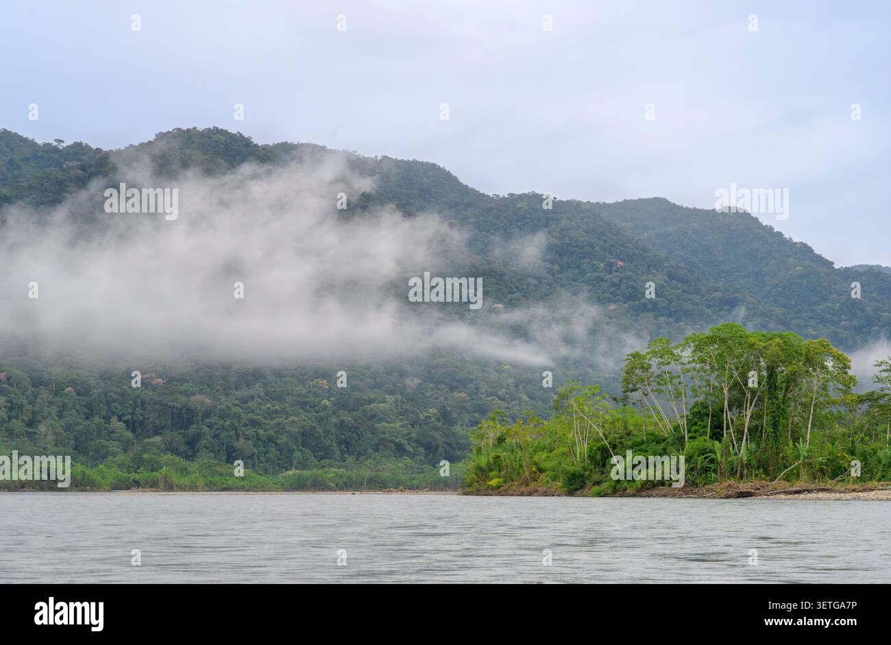 Nuvole sui pendii andini offuscati dalla foresta nuvolosa montana lungo il fiume madre de Dios, il Parco Nazionale di Manu, Perù. Foto Stock