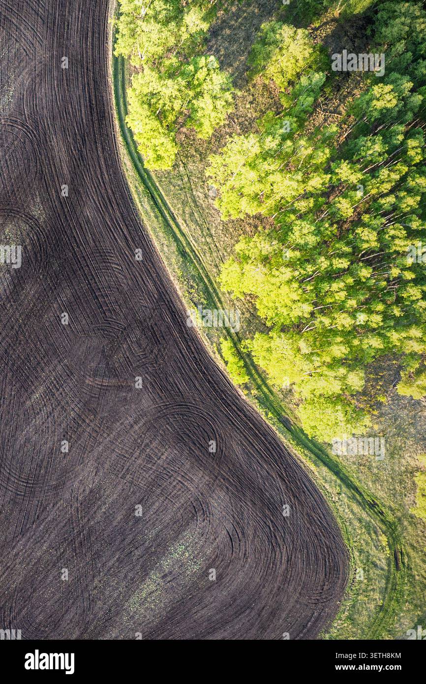 Inadempienza Vista aerea dei terreni coltivati che confinano con un bosco. Il terreno arato scuro contrasta con alberi verdi brillanti, illustrando l'uso del terreno, agricolo Foto Stock