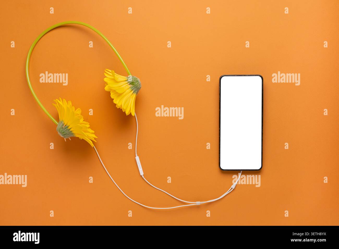 Composizione creativa del mockup per smartphone con schermo vuoto collegato alle cuffie con fiore tramite cavo su sfondo arancione. Presentazione minima dell'app mobile Foto Stock