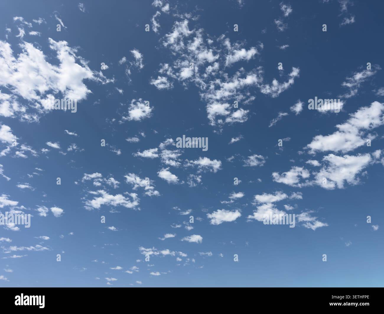 Una vista del cielo blu con nuvole in un piccolo design cespuglioso o macchioso. Foto Stock